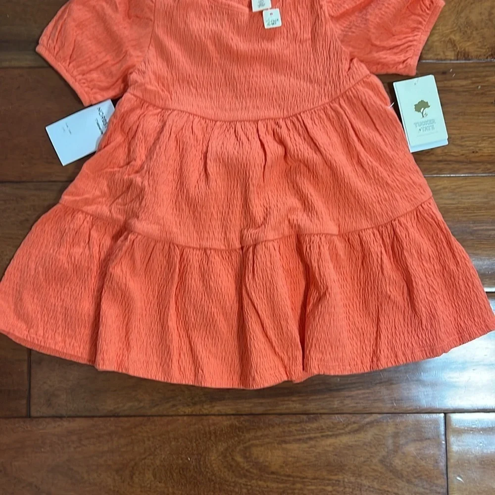 Tucker + Tate 2 Piece Set Orange Amber Size 18 Months